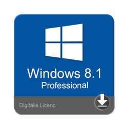 Windows 8.1 Professional