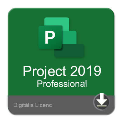 Project 2019 Professional, termékkulcs, licenc