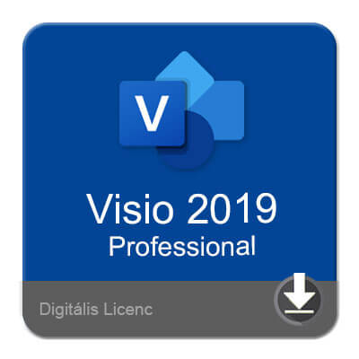 Visio 2019 Professional, licenc